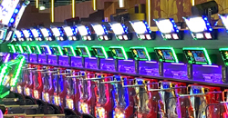 導入レポート